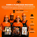 Quadro Decorativos Fé Jesus Leão Ovelha